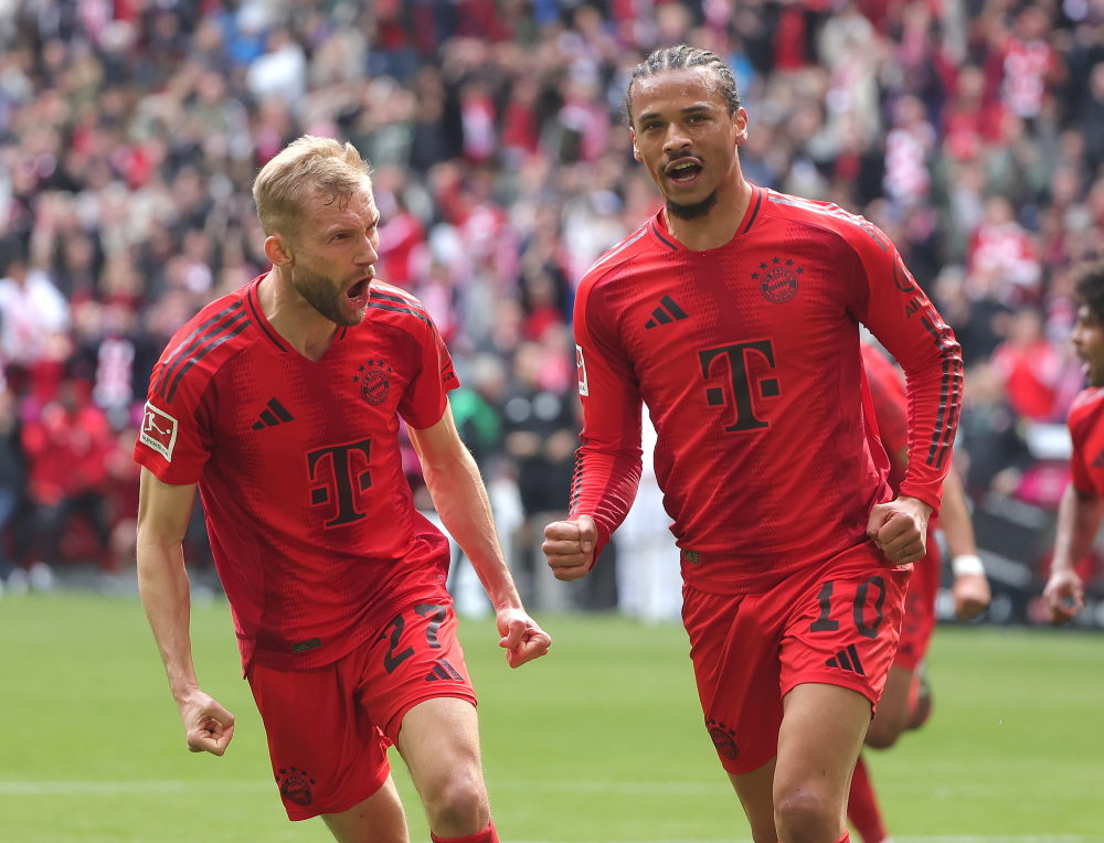 球迷需要的 球迷需要的