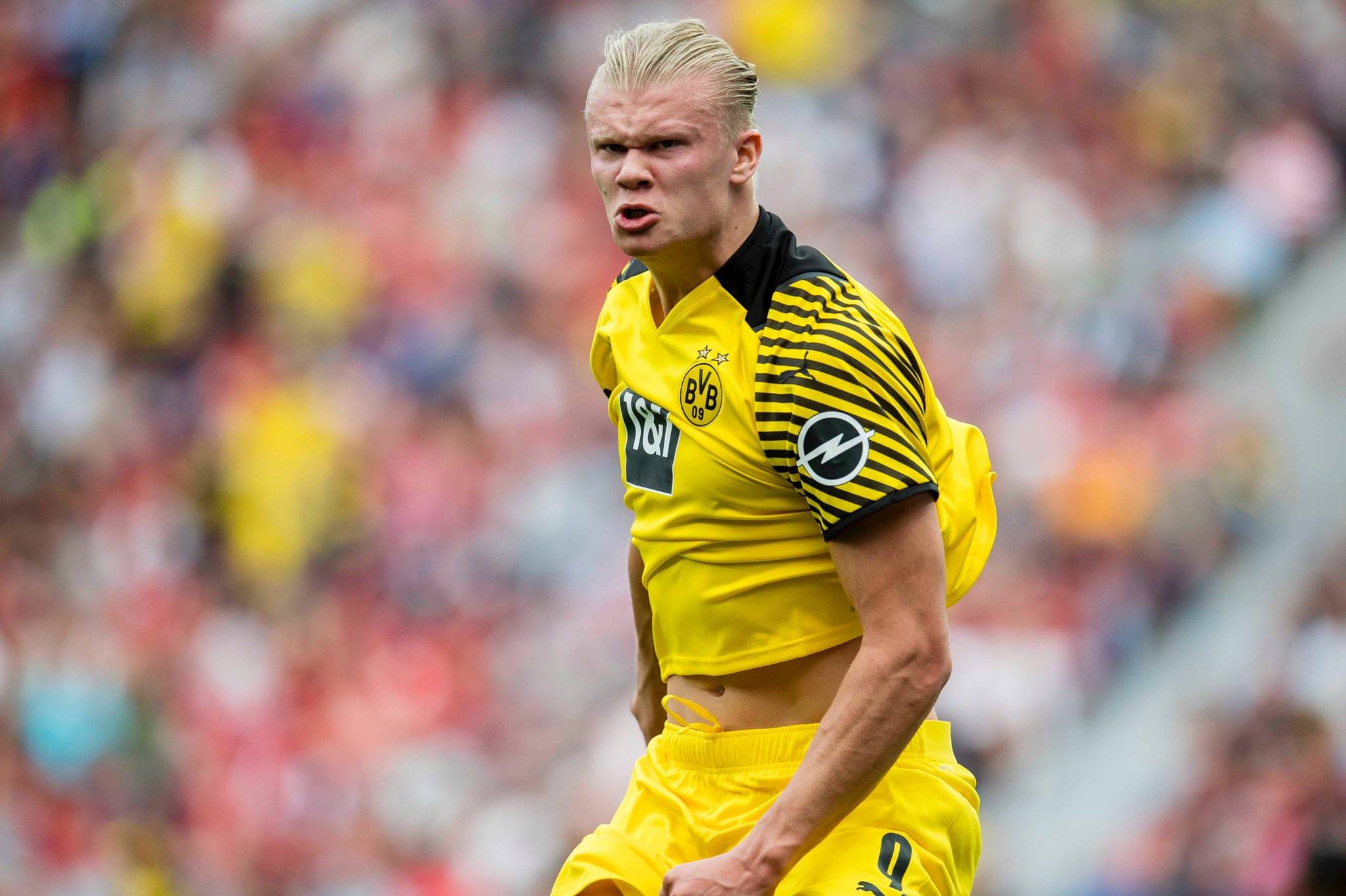 少而精的英 少而精的英